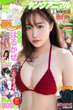 山里红 电视剧
